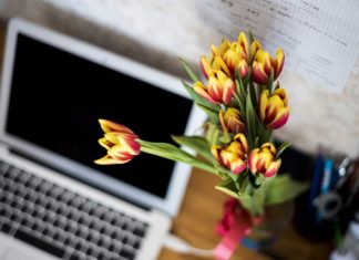 Komputer idealnym rozwiązaniem w różnych sprawach