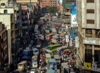 Leśne pojazdy transportowe