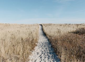 Trudny wybór Trudny wybór