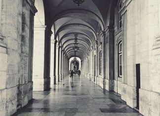 Jaka powinna być głębokość oczka wodnego?