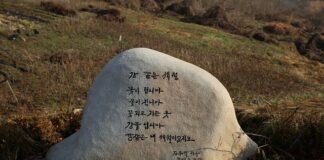 Ile zeolitu do oczka wodnego?