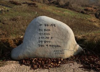 Ile zeolitu do oczka wodnego?