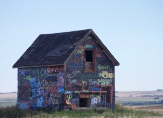 Dlaczego w gniazdku jest 230V?