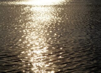 Dlaczego pieni się woda w oczku wodnym? Dlaczego pieni się woda w oczku wodnym?