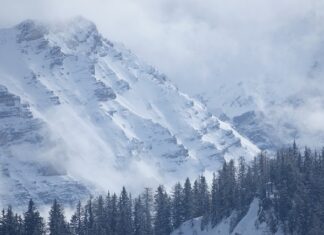Czy warto robić przegląd klimatyzacji?