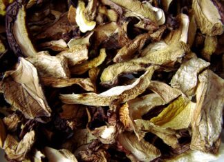 Jak długo suszyć liście? Jak długo suszyć liście?