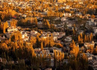 Co lepsze H4 czy H7? Co lepsze H4 czy H7?