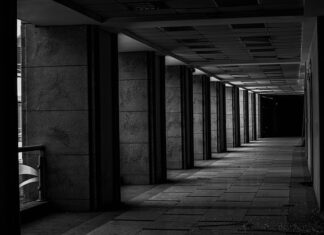 Czy światła pozycyjne i postojowe to to samo?