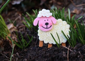 Jak zrobić baranka wielkanocnego z jajka styropianowego? Jak zrobić baranka wielkanocnego z jajka styropianowego?