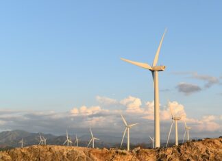 Z czego najlepiej zrobić podwyższone grządki?