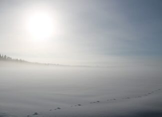 Jak zrobić zająca z jajka styropianowe? Jak zrobić zająca z jajka styropianowe?