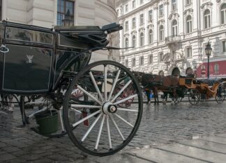 Jak chodzić po mokrym dachu?