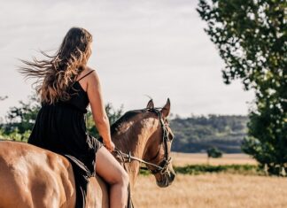 Czym grozi jazda bez filtra powietrza?