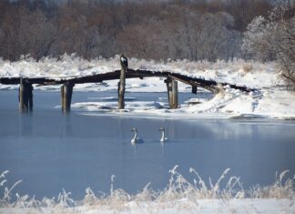 Jaki przekrój przewodu do 12V?