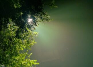 Jaka barwa światła do samochodu jest dobra?