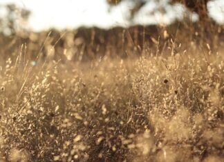 Jakie są rodzaje filtrów do wody? Jakie są rodzaje filtrów do wody?
