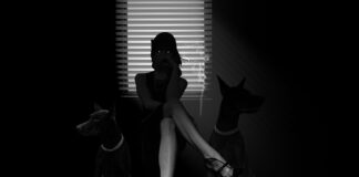 Czy może nie być filtra kabinowego?