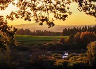 Czy można opalać się w cieniu? Czy można opalać się w cieniu?