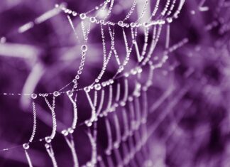 Co oryginalnego na Walentynki?