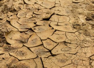 Jak używać glinki do lakieru samochodowego? Jak używać glinki do lakieru samochodowego?