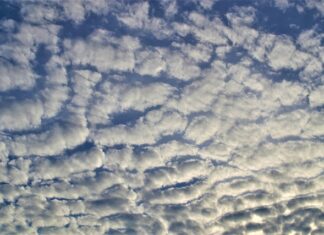 Jak robić lepsze foty telefonem?