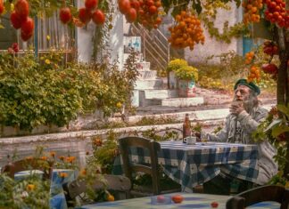 Ile pali Skoda Superb?