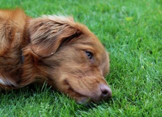 Co na walentynki dla znajomego?