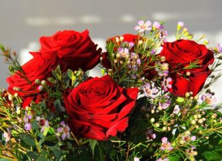 Ile kosztuje najdroższy model Audi?