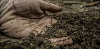 Czy glinka oczyszcza?