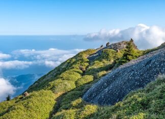 Jaka jest różnica między cappuccino a latte macchiato? Jaka jest różnica między cappuccino a latte macchiato?