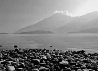 Ile kosztuje 50 róż? Ile kosztuje 50 róż?