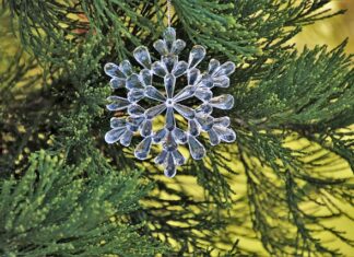 Jak ładnie ozdobić jajka?